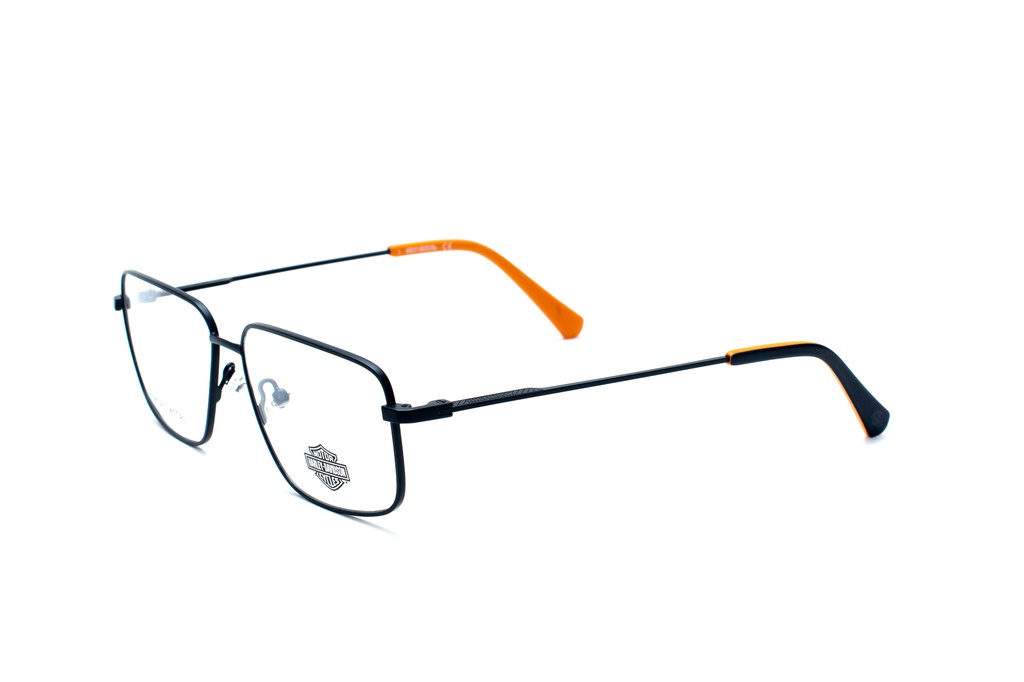 HARLEY-DAVIDSON-HD0954-002