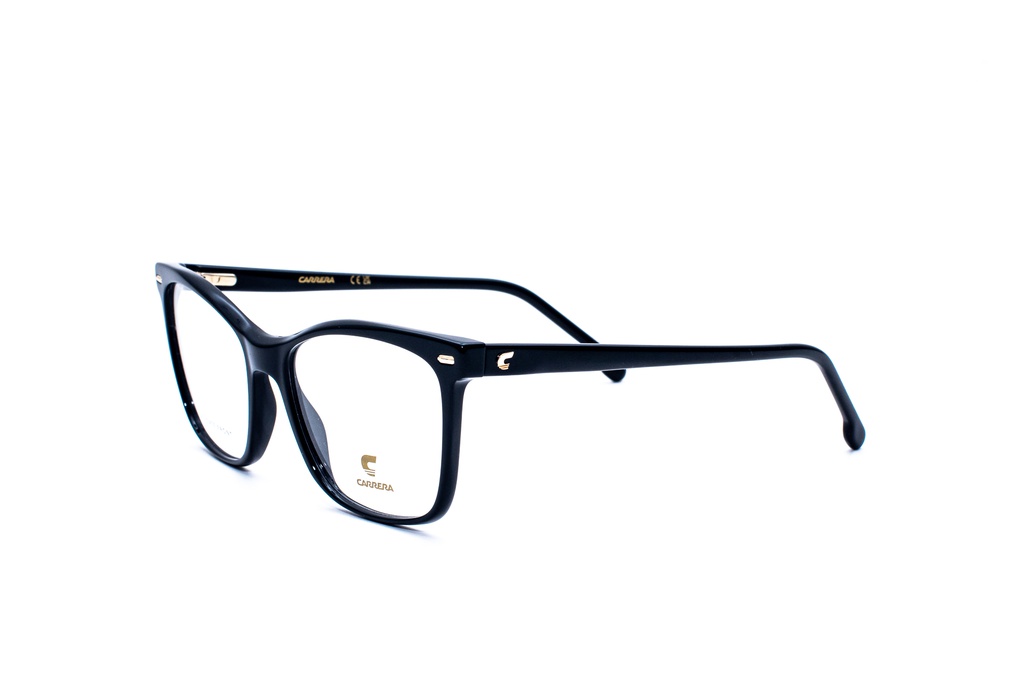 CARRERA-3060-2M2-54-17