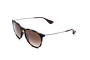 RAYBAN-RB4171-ERIKA-865/13-54-18