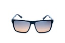 COLCCI-PAUL-C0062-A0221