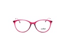 COOT-1041-C3