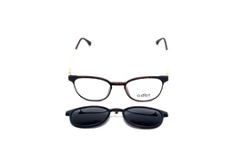 COOT-4016-C2