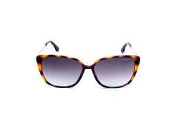 COLCCI-JUDY SUN-C0223-F4734-CAT02