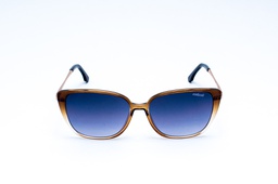 COLCCI-JUDY SUN-C0223-J2233-CAT02