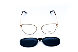 NIQUEL&amp;GOLD-DT30039-C5