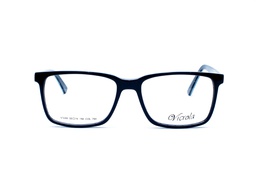 VICROLA V1248 C700